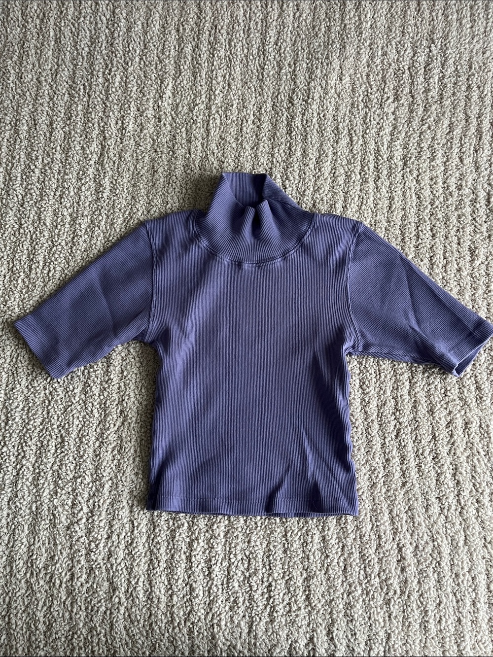 Big Bud Press Crop Ribbed Turtleneck Top in Dusty Lavender